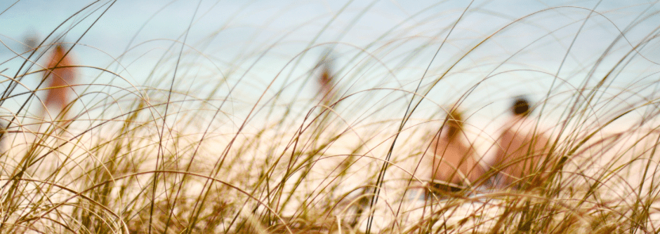 page header image